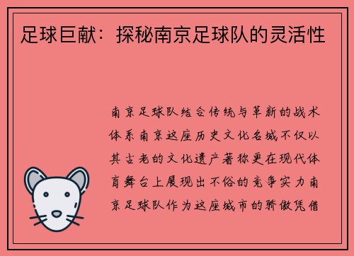 足球巨献：探秘南京足球队的灵活性