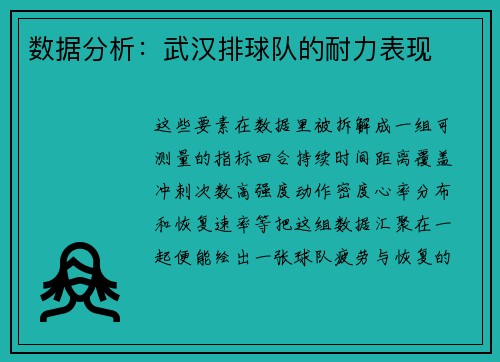 数据分析：武汉排球队的耐力表现